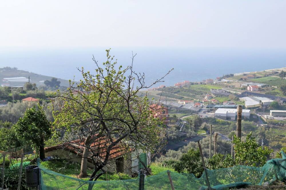 Photo of Others in Terzorio