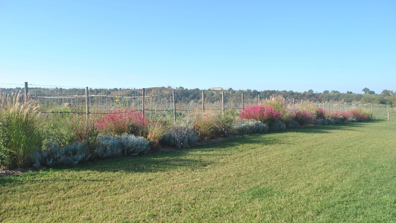 Photo of Outdoor in Arcille