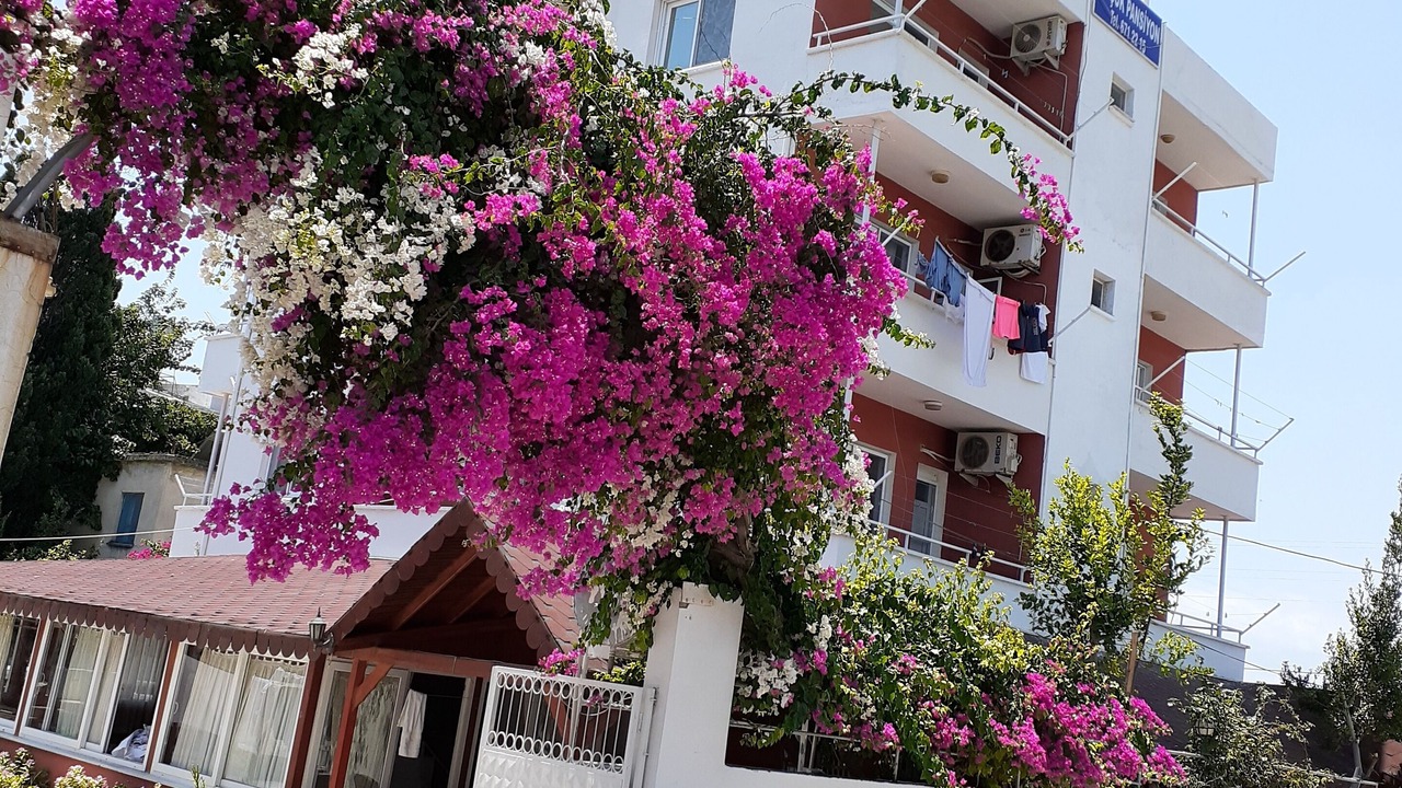 Photo of Outdoor in Ayas Mahallesi