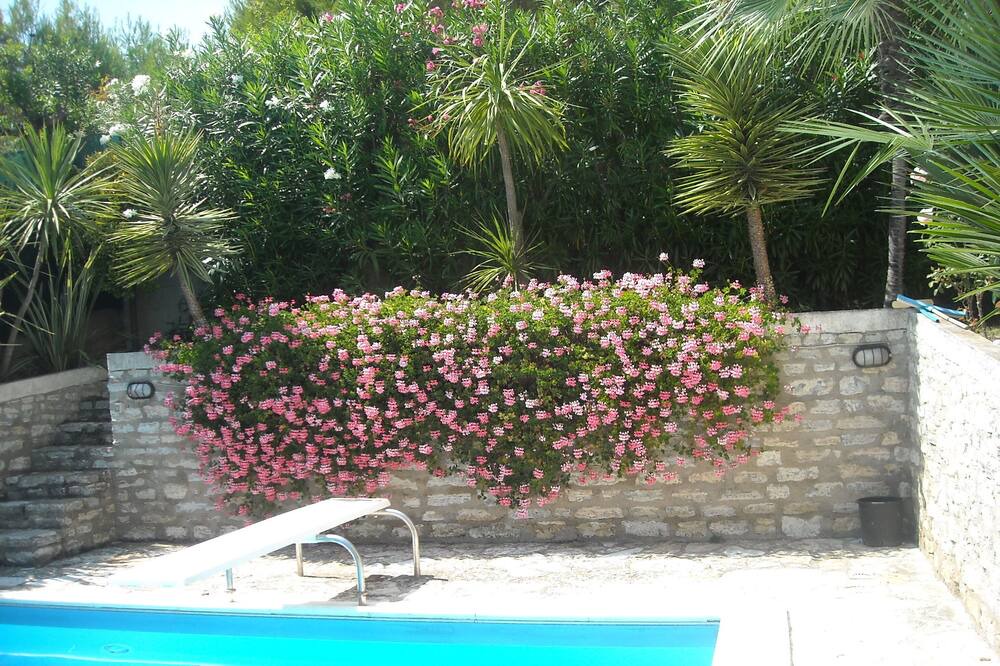 Photo of Outdoor in Campofilone