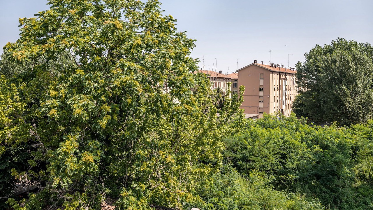 Photo of Outdoor in Crocetta-San Lazzaro-Modena Est