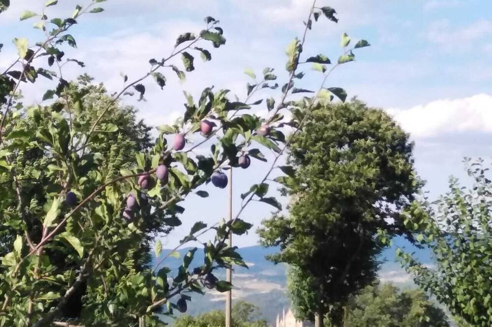 Photo of Outdoor in Porano
