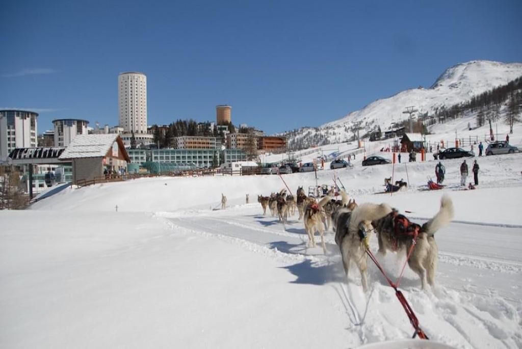 Photo of Others in Sestriere