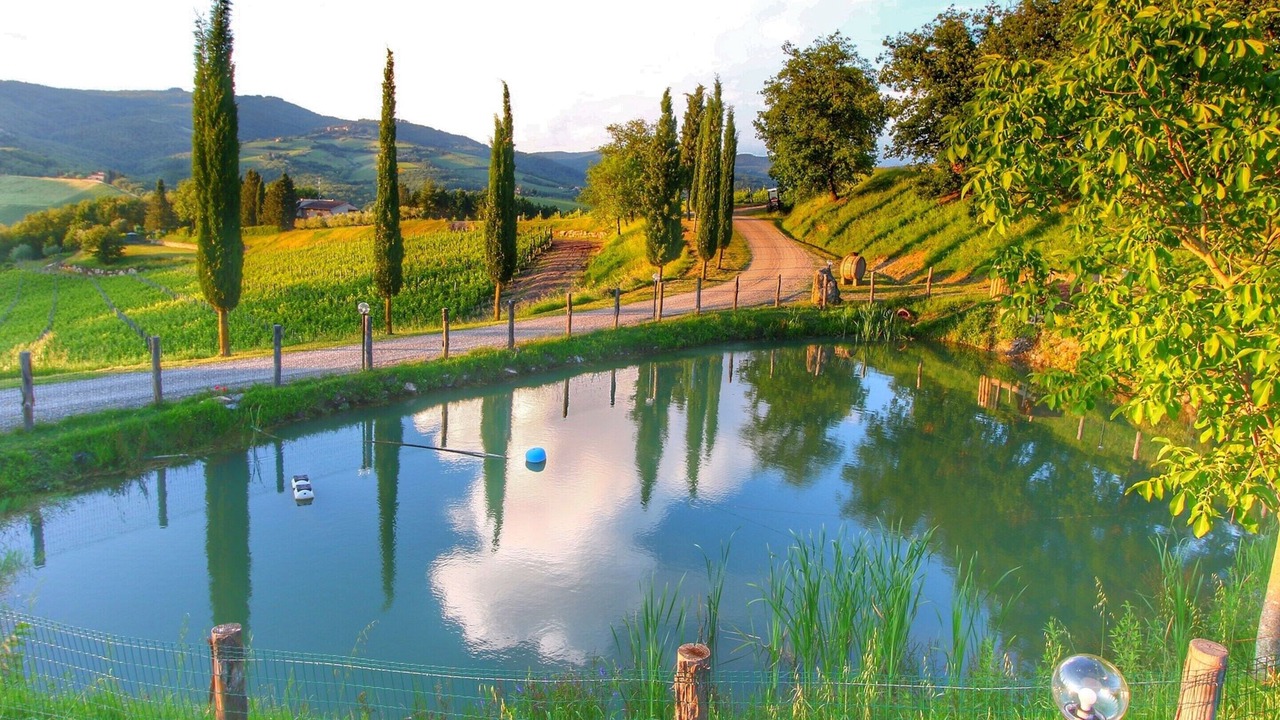 Photo of Others in Radda in Chianti