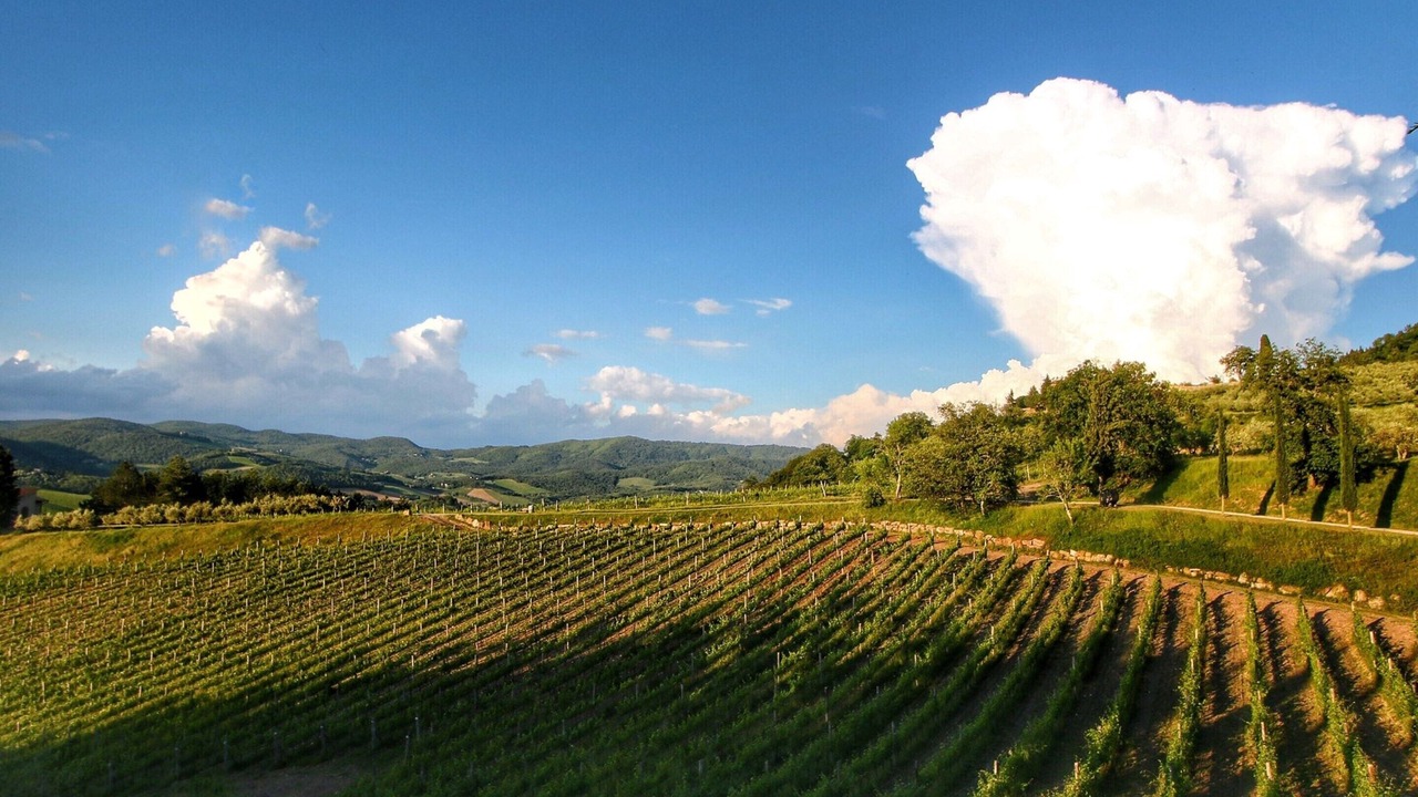 Photo of Others in Radda in Chianti