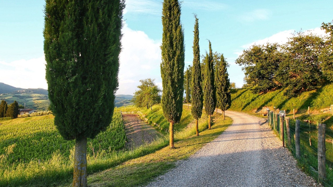 Photo of Others in Radda in Chianti