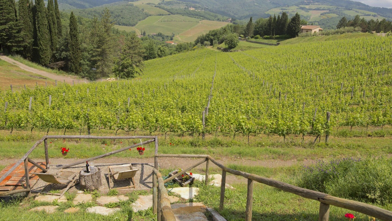 Photo of Outdoor in Radda in Chianti