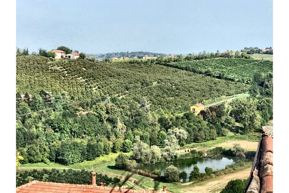 Photo of Others in Ozzano Monferrato