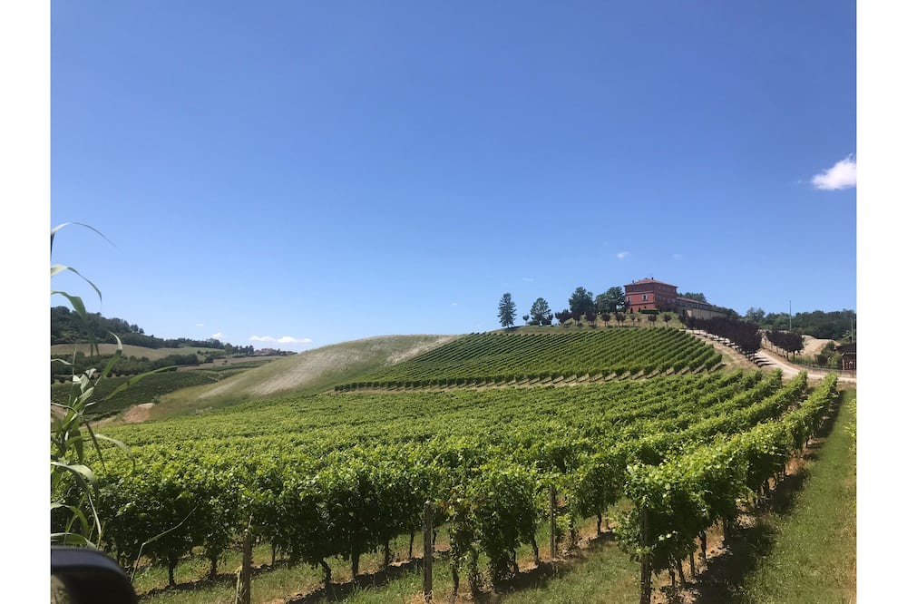 Photo of Others in Ozzano Monferrato