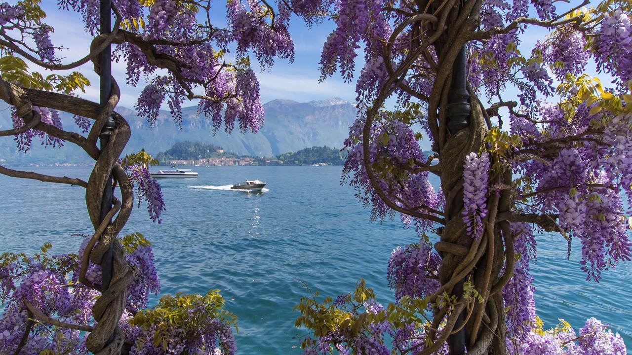 Photo of Outdoor in Tremezzina