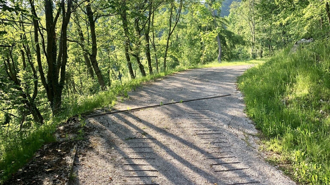 Photo of Outdoor in Bosco Chiesanuova