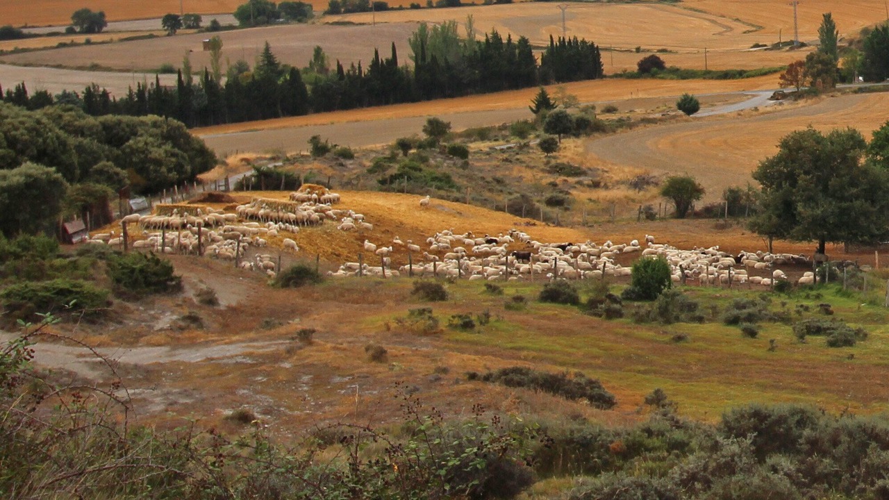 Photo of Outdoor in Cendea de Olza