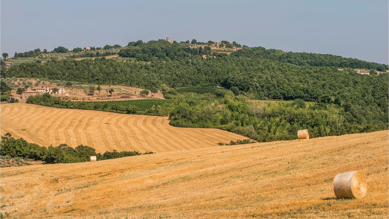 Photo of Outdoor in Acqua Loreto