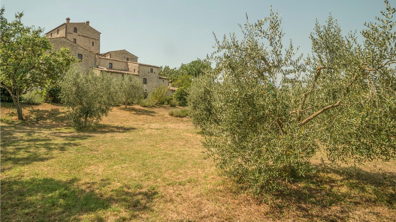 Photo of Outdoor in Acqua Loreto