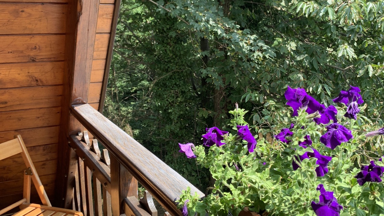 Photo of Outdoor in Roccapietra