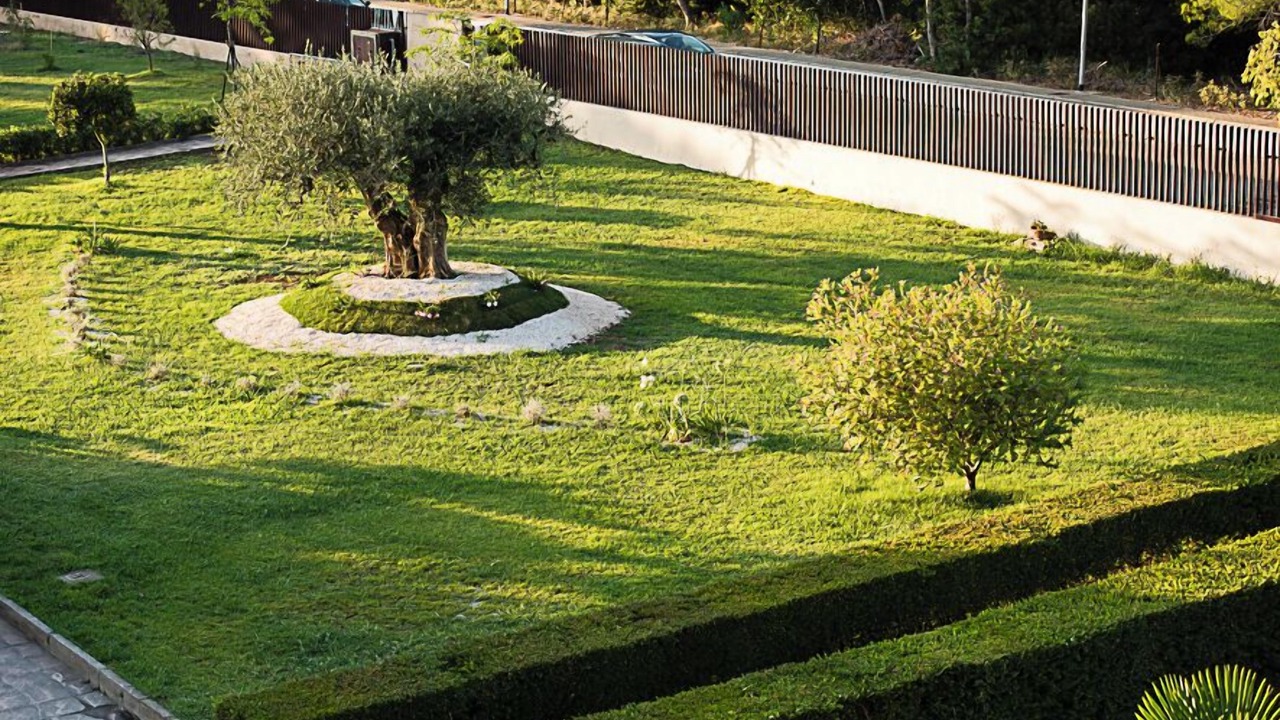 Photo of Outdoor in Lido