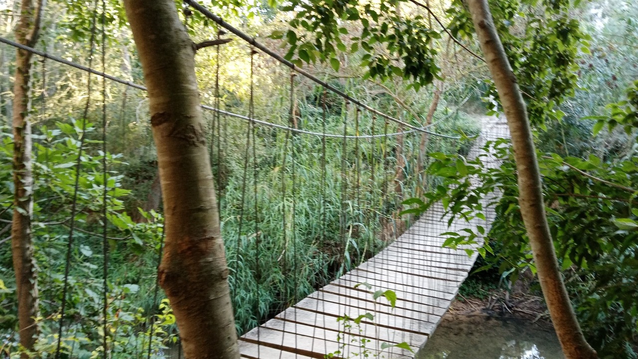 Photo of Outdoor in Rossell