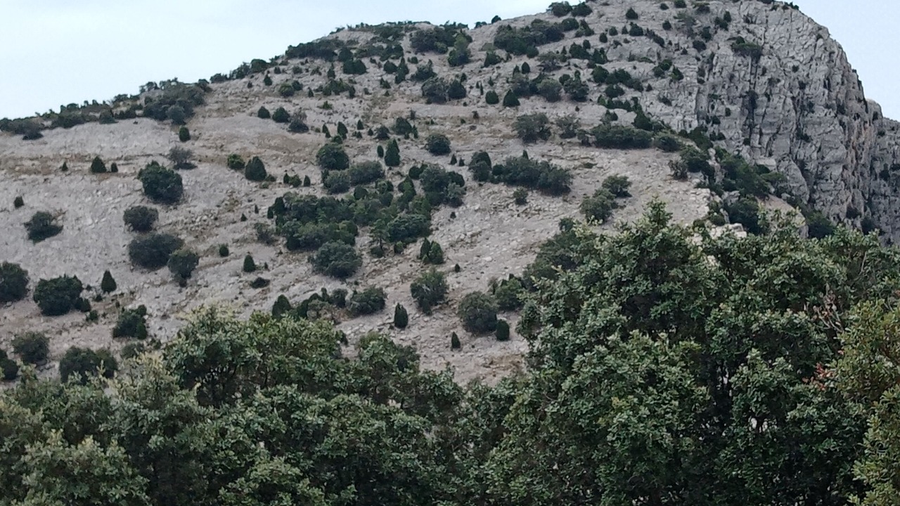 Photo of Outdoor in Rossell