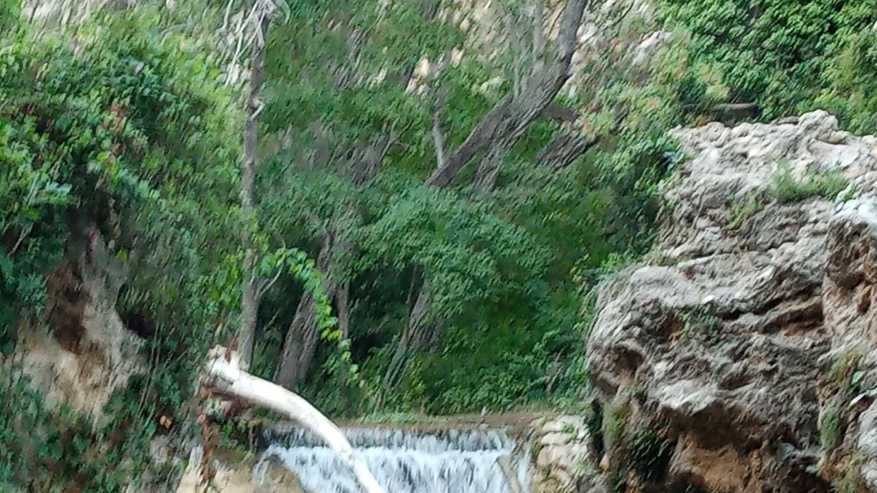 Photo of Outdoor in Rossell