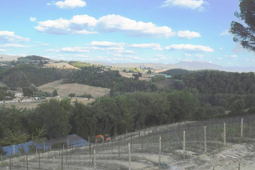 Photo of Others in Ramazzano