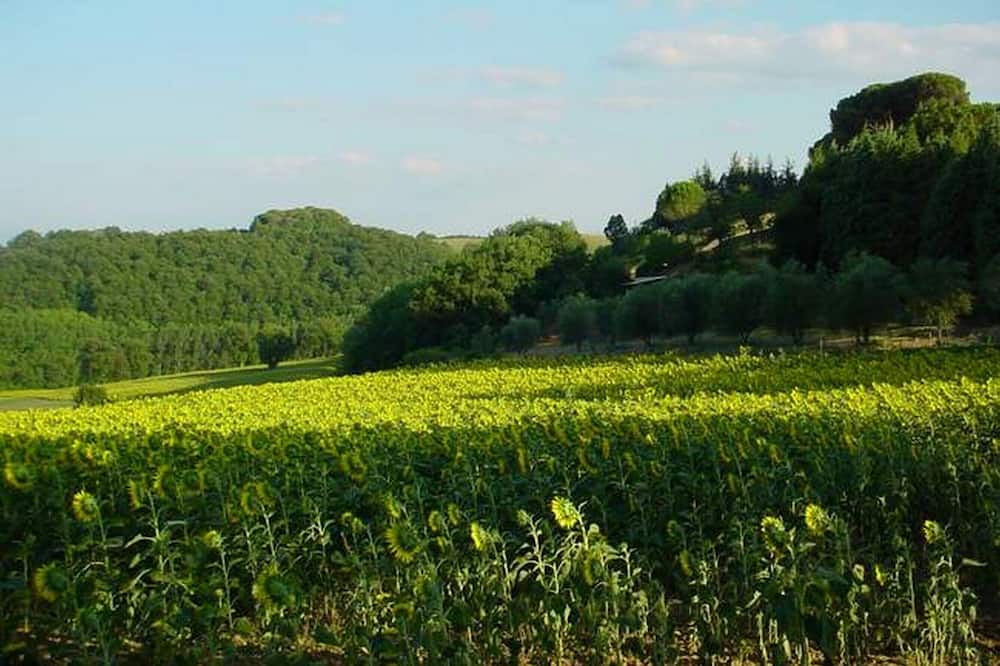 Photo of Outdoor in Ramazzano