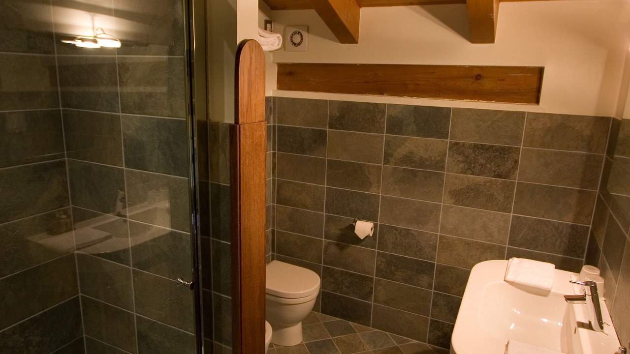 Photo of Bathroom in Zelarino