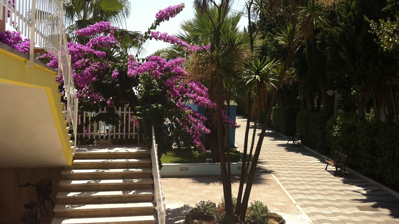 Photo of Outdoor in Porto d'Ascoli