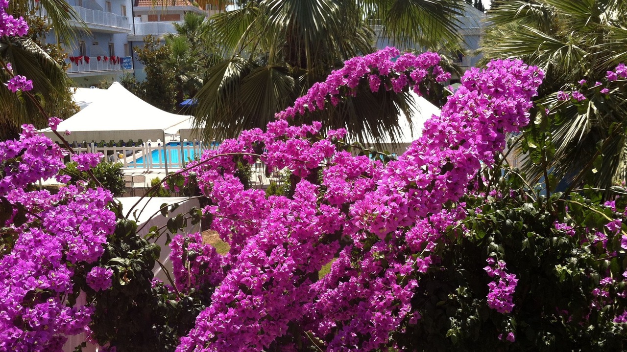 Photo of Outdoor in Porto d'Ascoli