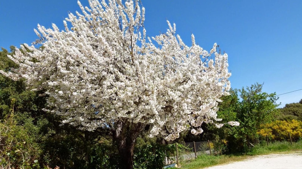 Photo of Outdoor in Jimena de la Frontera