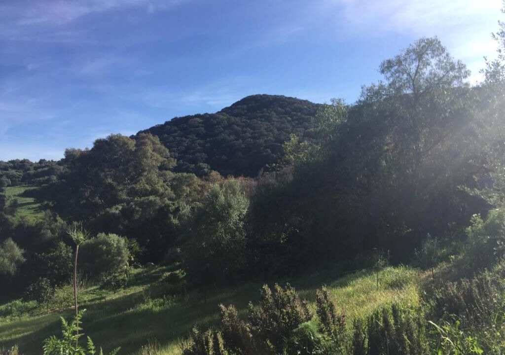 Photo of Outdoor in Jimena de la Frontera