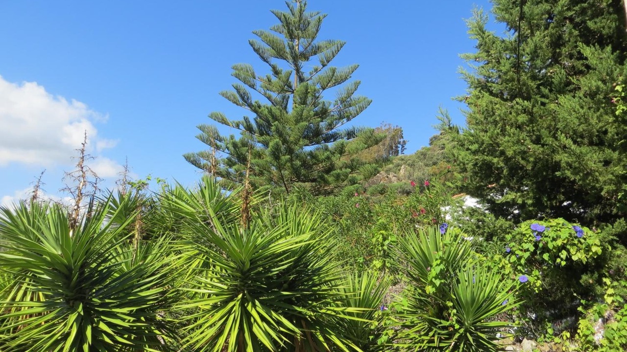 Photo of Outdoor in Jimena de la Frontera