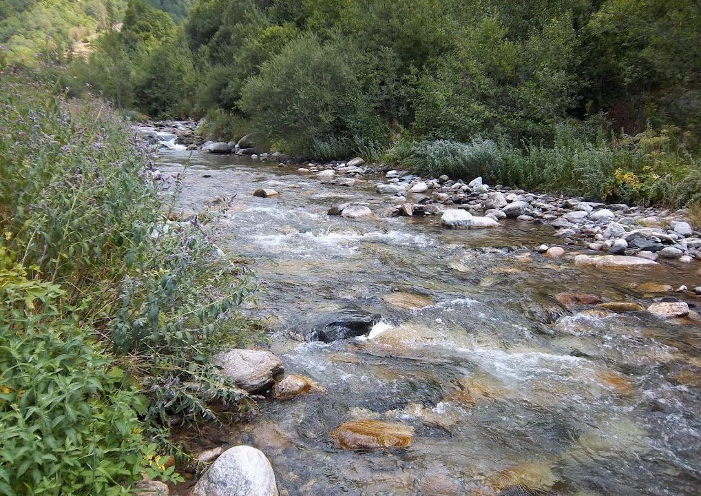 Photo of Outdoor in Setcases