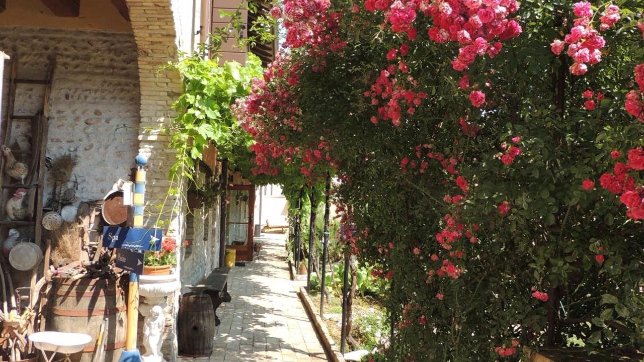 Photo of Outdoor in Codroipo