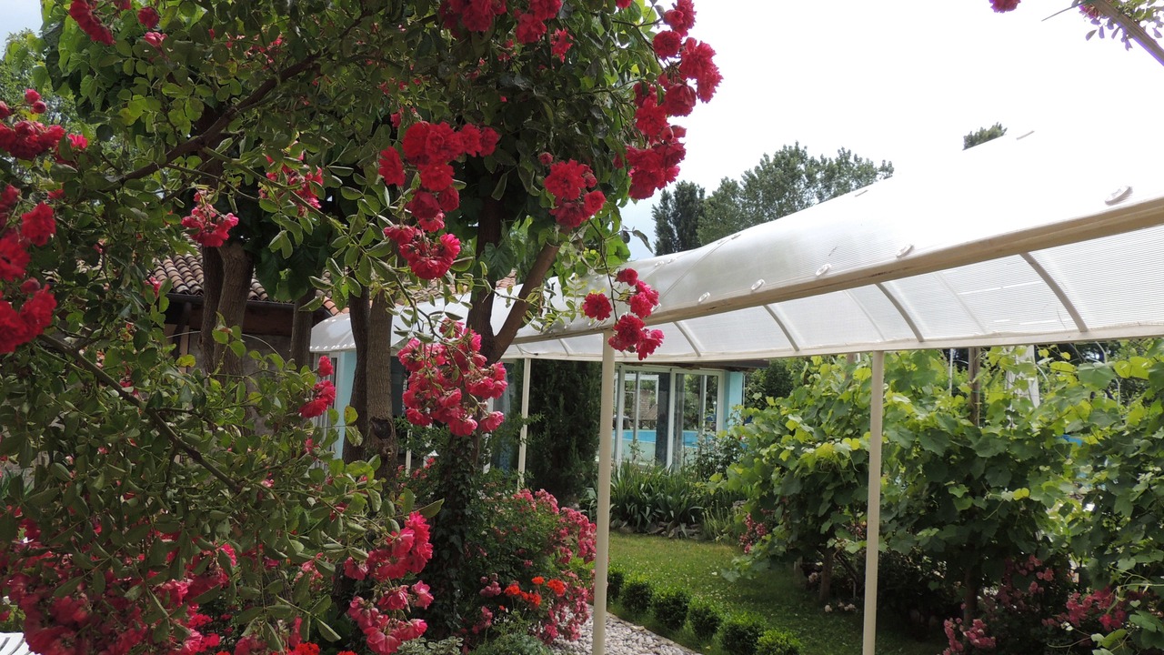 Photo of Outdoor in Codroipo