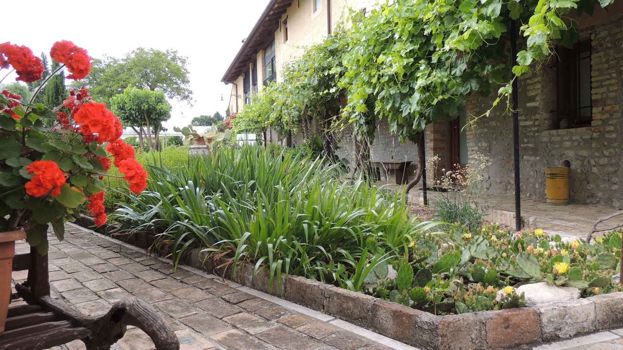 Photo of Outdoor in Codroipo