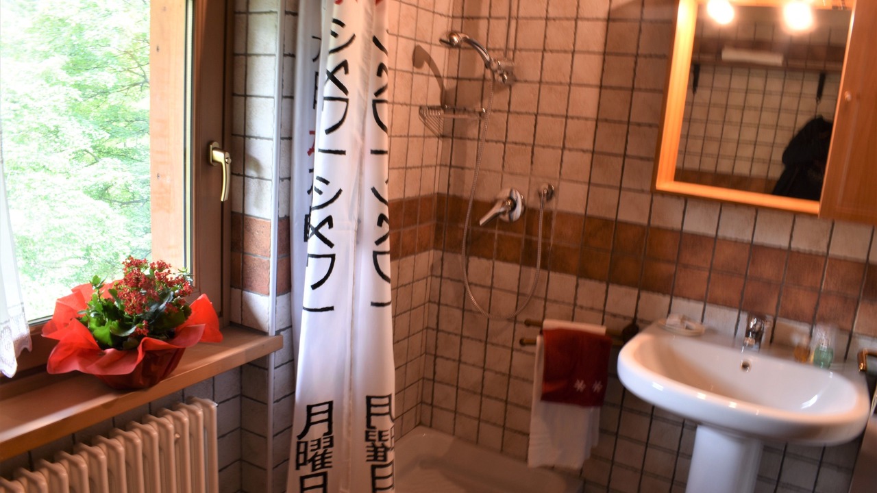 Photo of Bathroom in Valtournenche