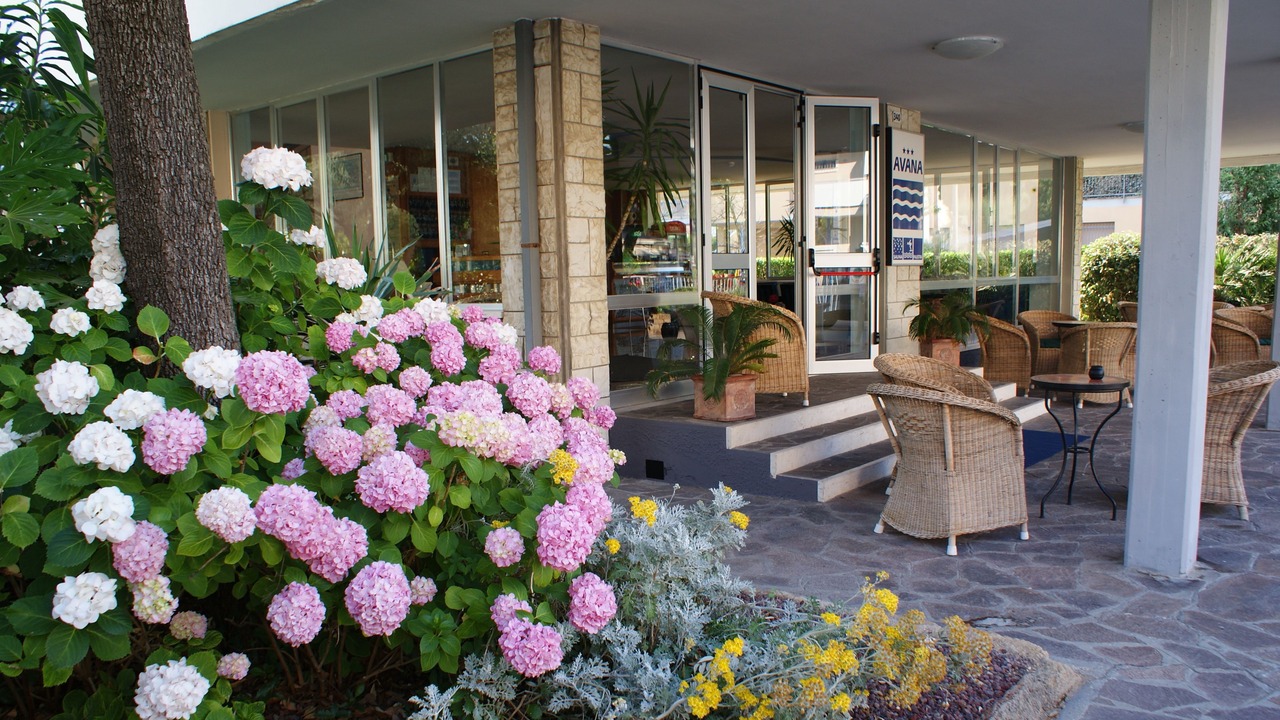 Photo of Outdoor in Lido di Savio