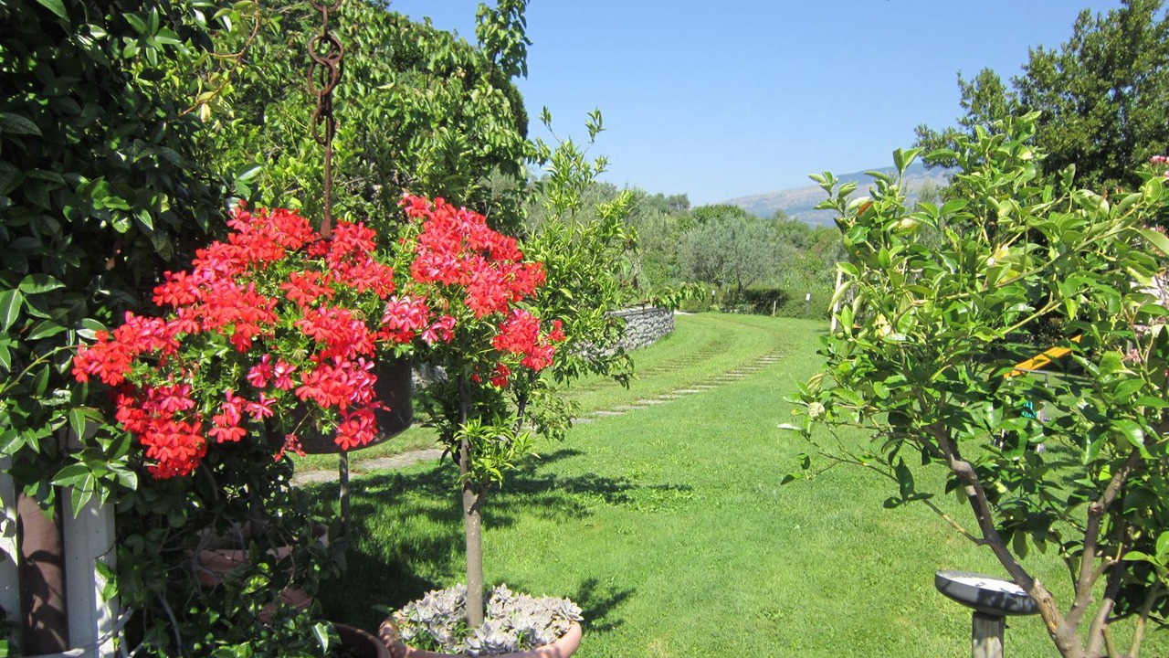 Photo of Outdoor in Agnone