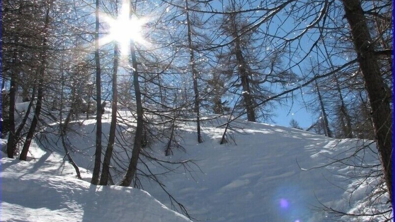 Photo of Others in Domodossola