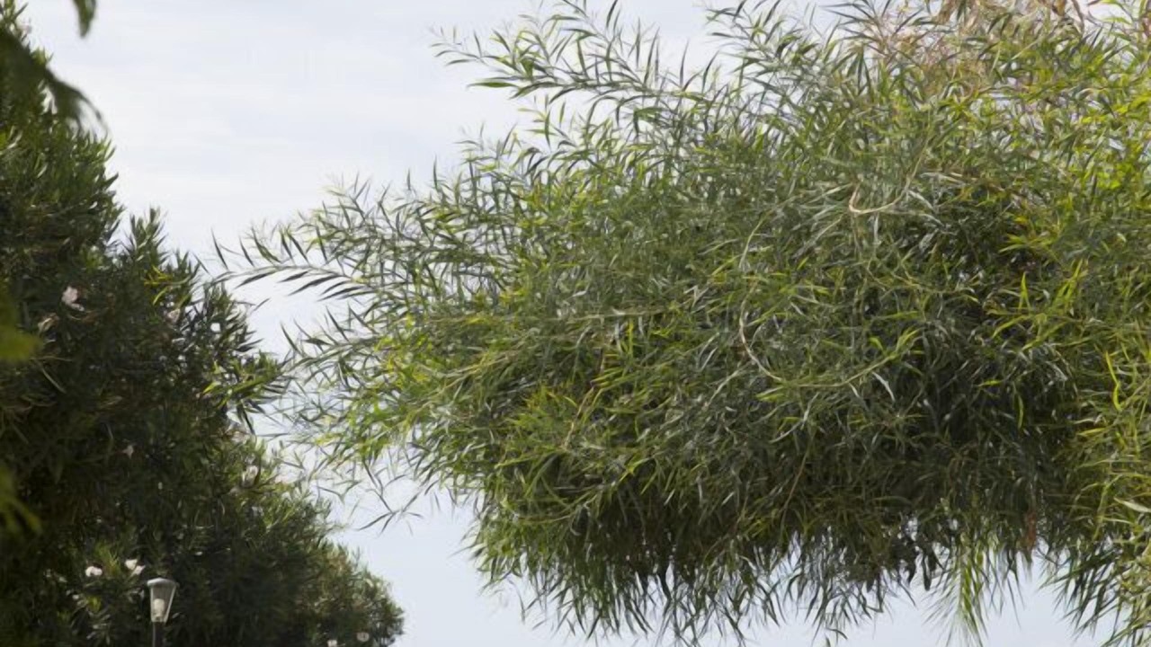 Photo of Outdoor in Paestum