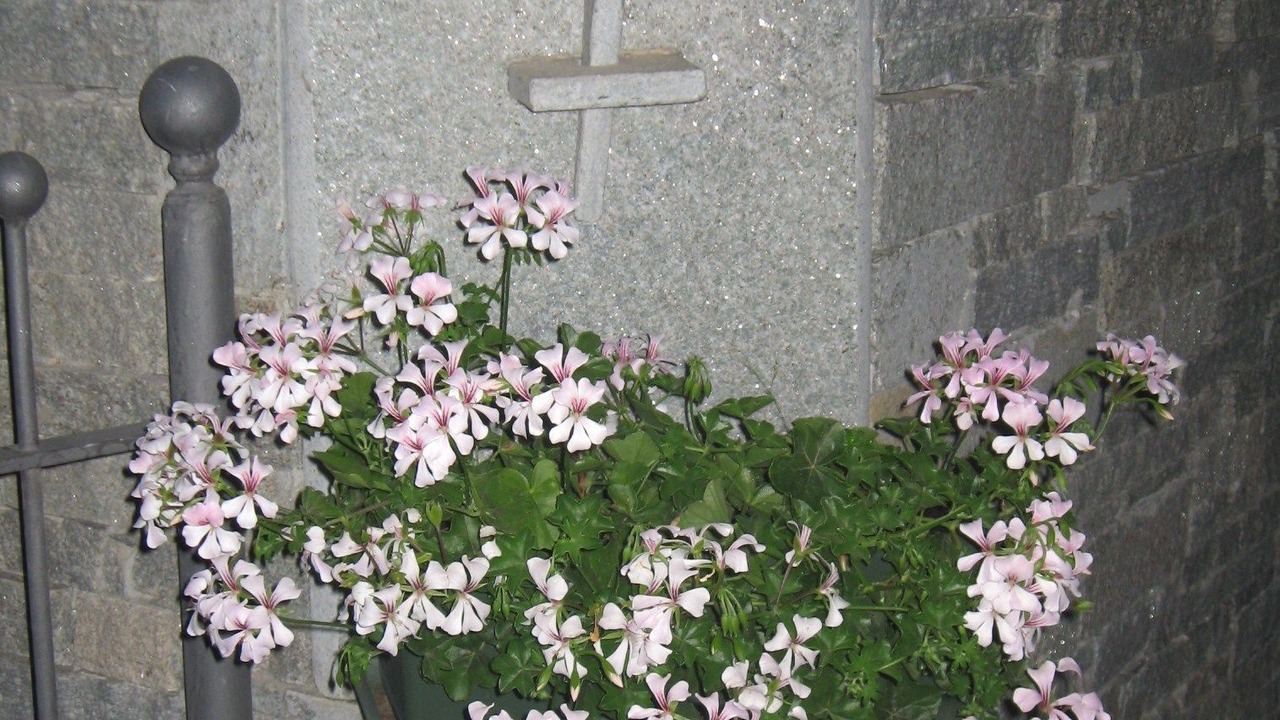 Photo of Outdoor in Cors