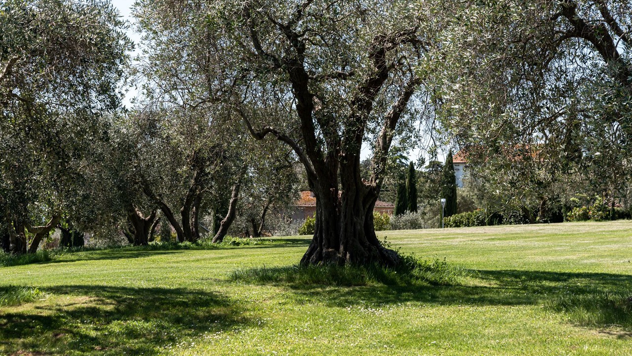 Photo of Outdoor in Pozzuolo