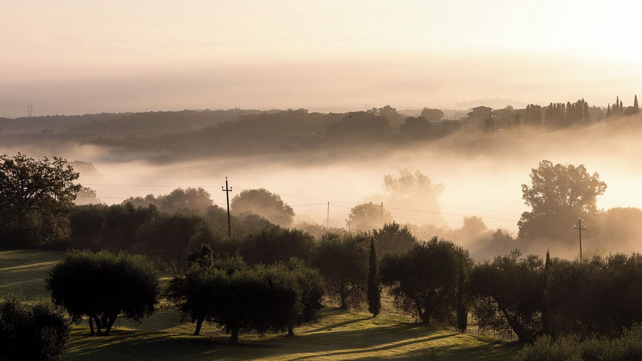 Photo of Outdoor in Pozzuolo
