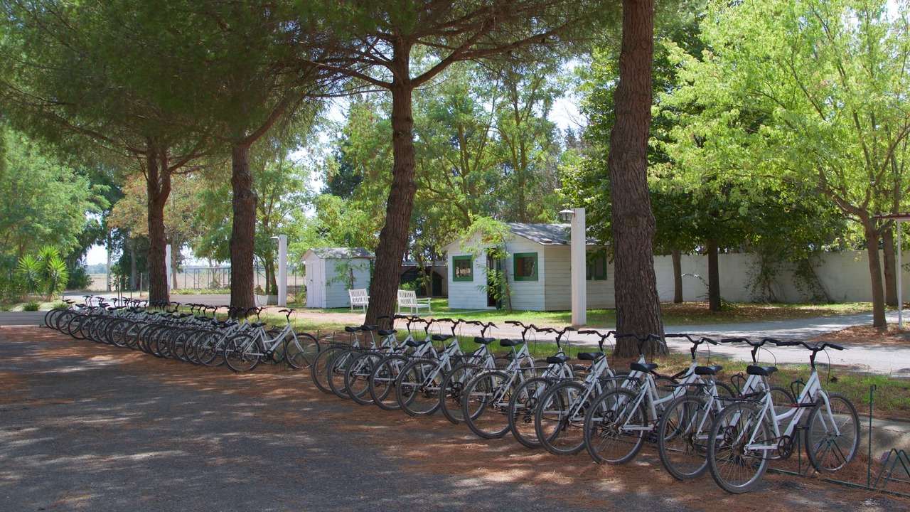 Photo of Outdoor in Marina di Pisticci