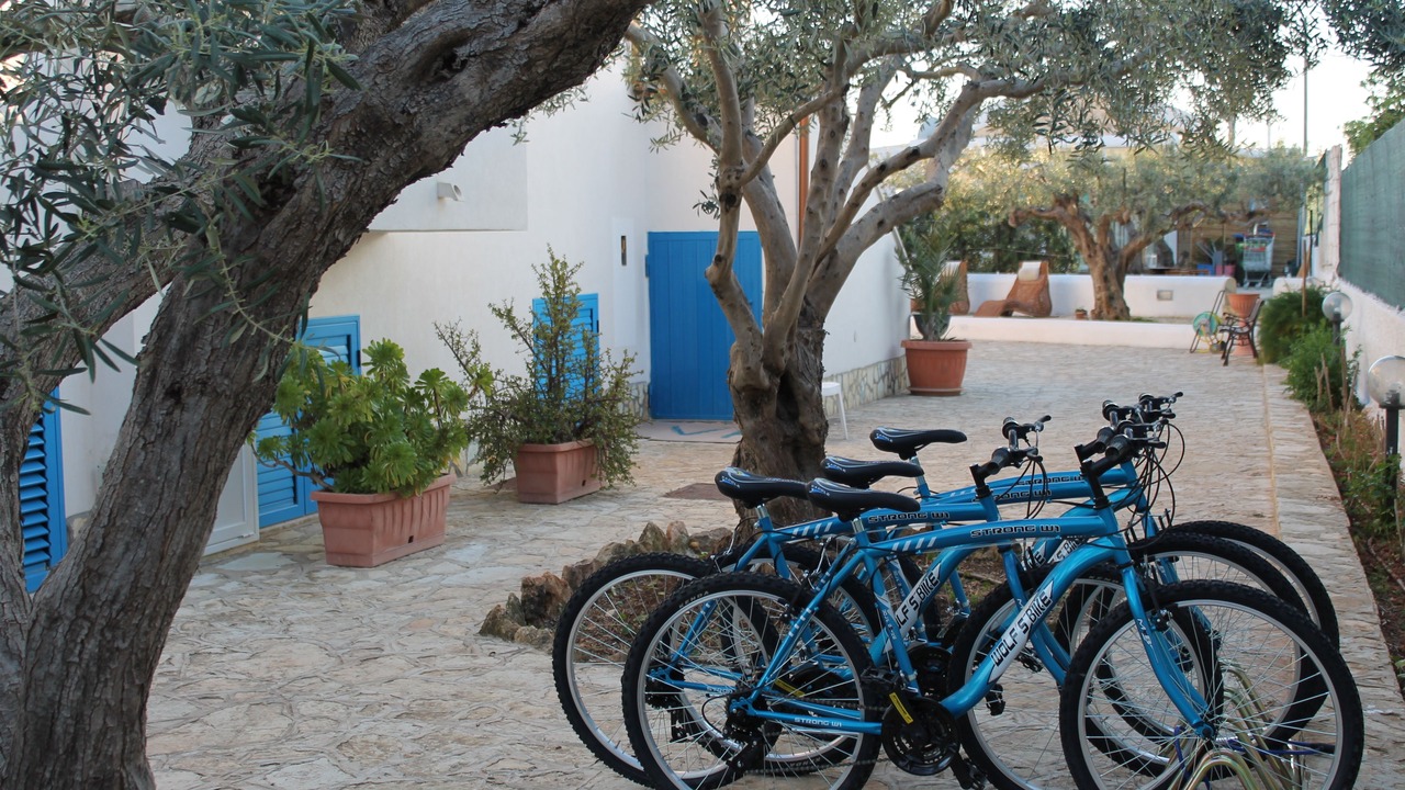 Photo of Outdoor in Marsala