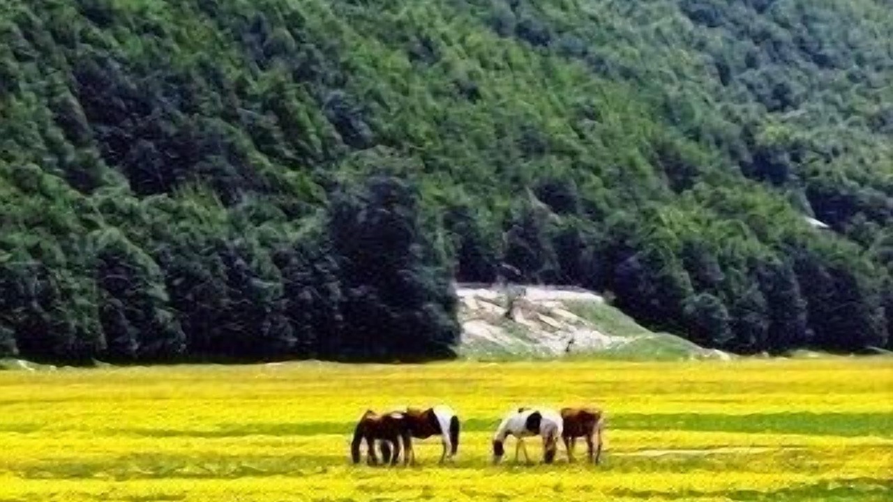 Photo of Outdoor in Agnone