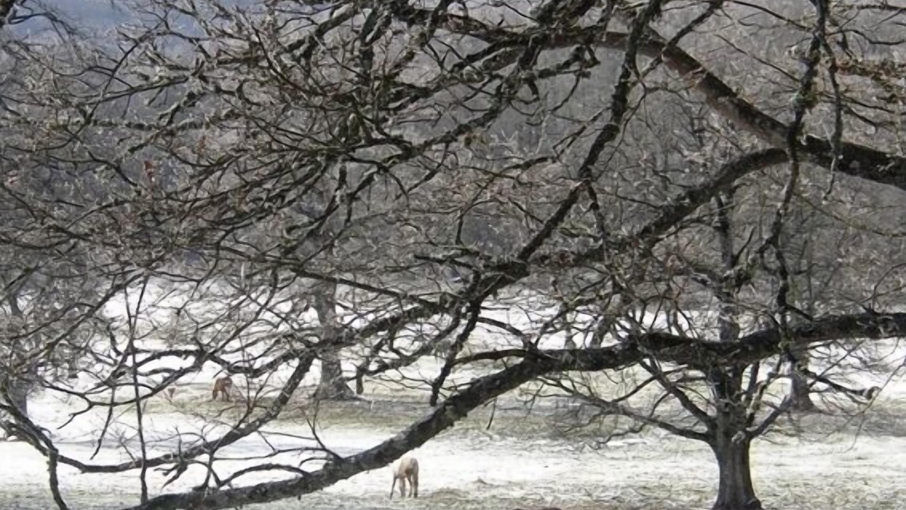 Photo of Outdoor in Agnone