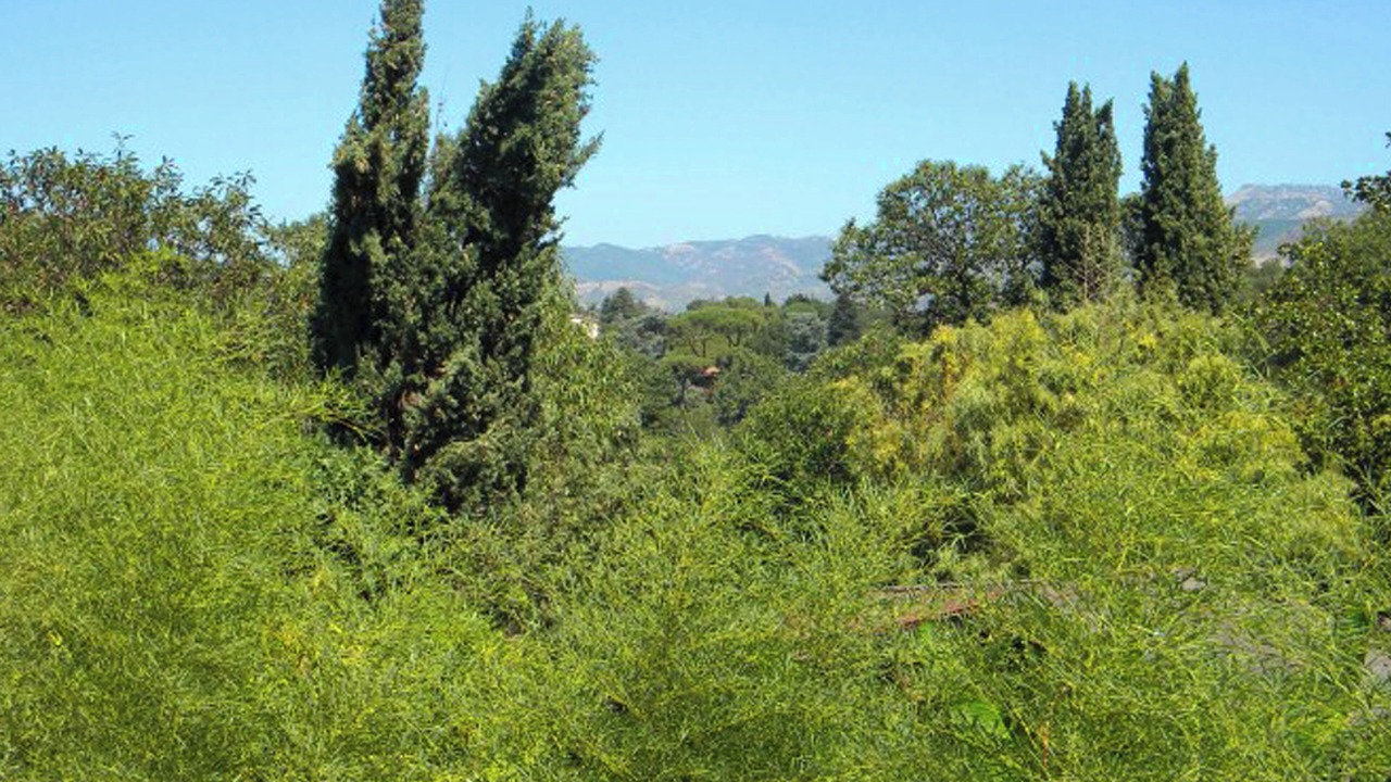 Photo of Outdoor in Zagarolo