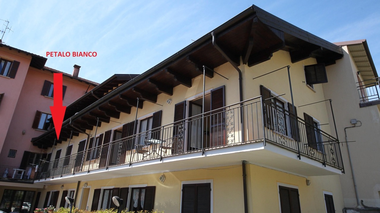 Photo of Outdoor in Baveno