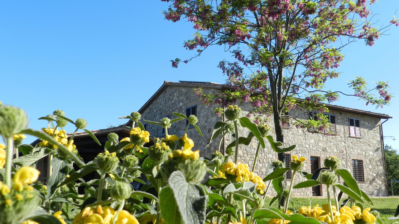 Photo of Outdoor in Loreto